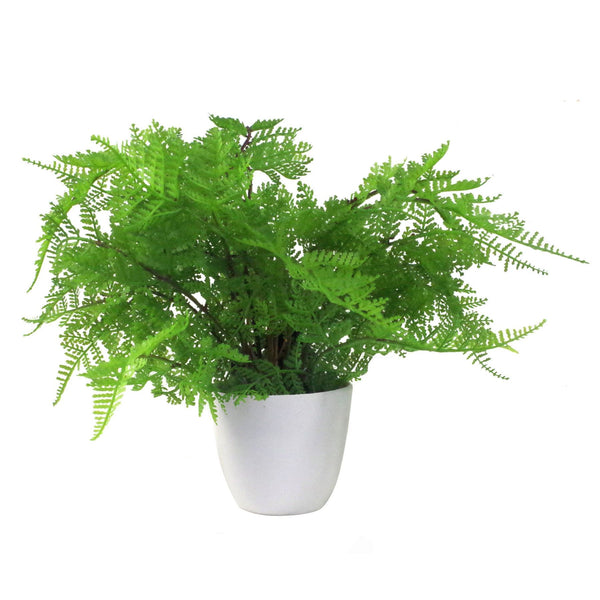 Artificial Ferns Plants Pack 3 x 30cm Botanical Fern 30cm Display