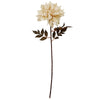 Pack of 6 x 55cm Dahlia Flower Stem - Dusty Cream - Premium Quality