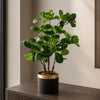 Leaf Design 60cm Artificial Tropical Bonsai Ficus Tree