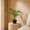 Artificial Palm Tree Foliage Plant Pot 50cm Mini Palm Plants
