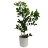 Leaf Design 45cm Artificial Aglaia Odorata Bonsai Ficus Tree