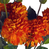 Pack of 6 x 75cm Artificial Dahlia PomPom Flower Stem Orange - Premium Quality