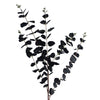 Pack of 6 x Artificial Foliage Black Eucalyptus Foliage Stem 80cm