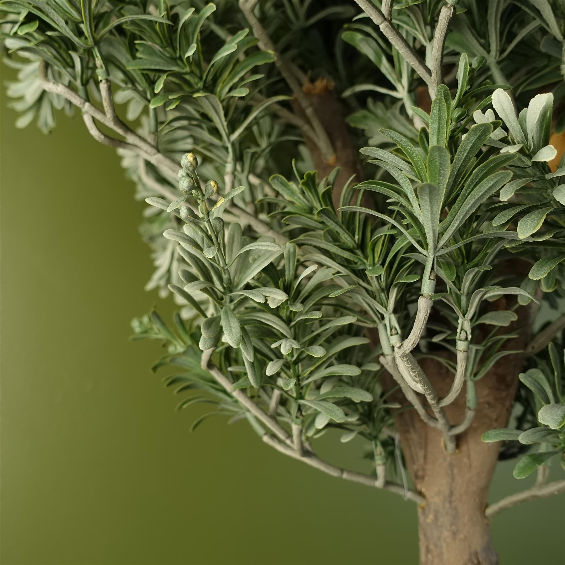 Artemisa Shrub 70cm