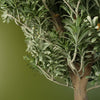 Artemisa Shrub 70cm