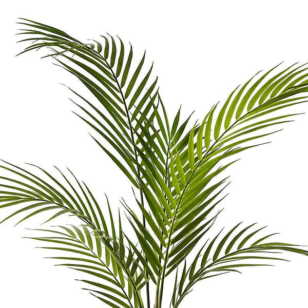 70cm Artificial Areca Palm Tree - Premium Quality