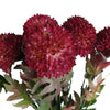 Pack of 6 x 70cm Large Ball Dahlia Artificial Flower Stem Pink - Premium Quality