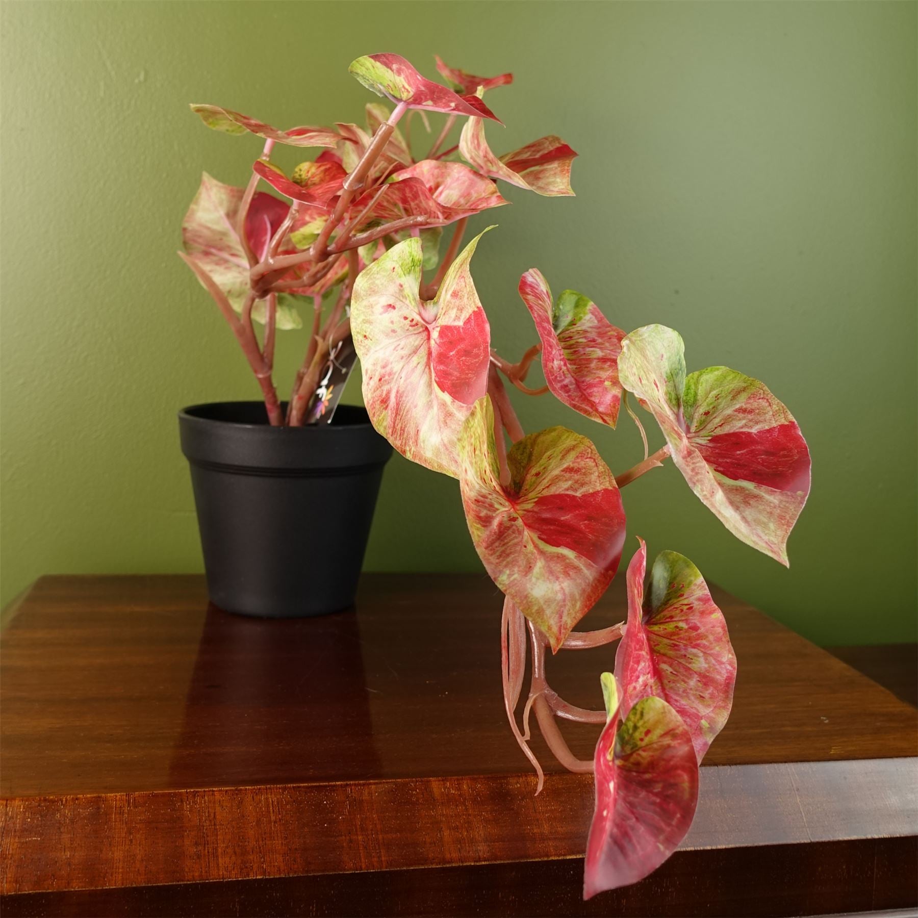 Artificial Pink Caladium Potted Trailing Plant Botanik