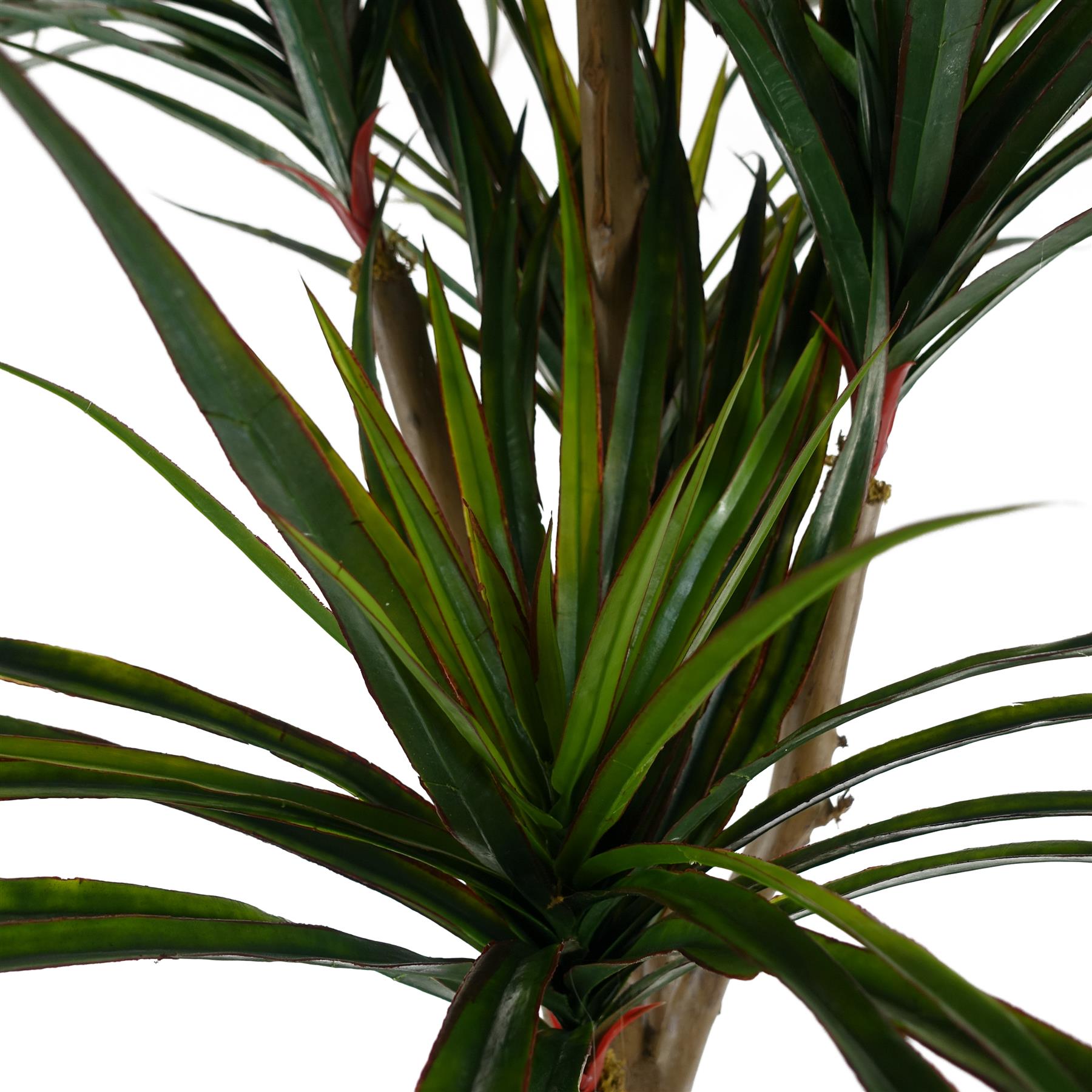 UV Resistant Yucca 238 Leaves