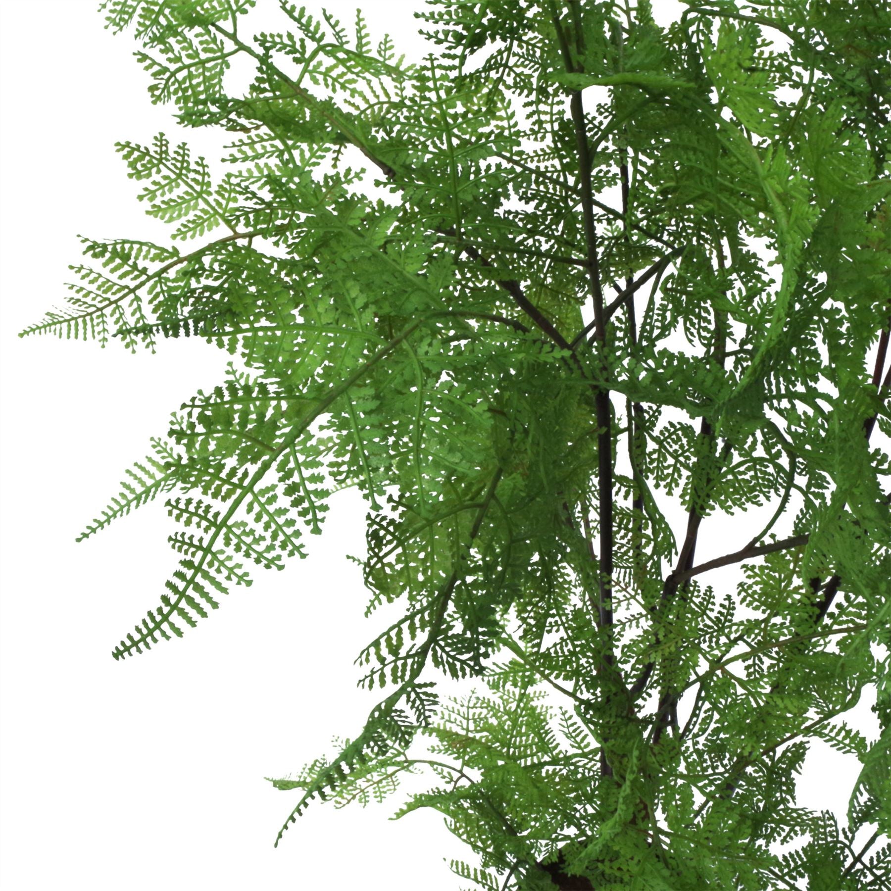 Artificial 150cm Natural Moss Base Fern Foliage Plant