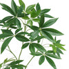 120cm Artificial Money Tree Pachira Realistic Faux Tree - Premium Quality