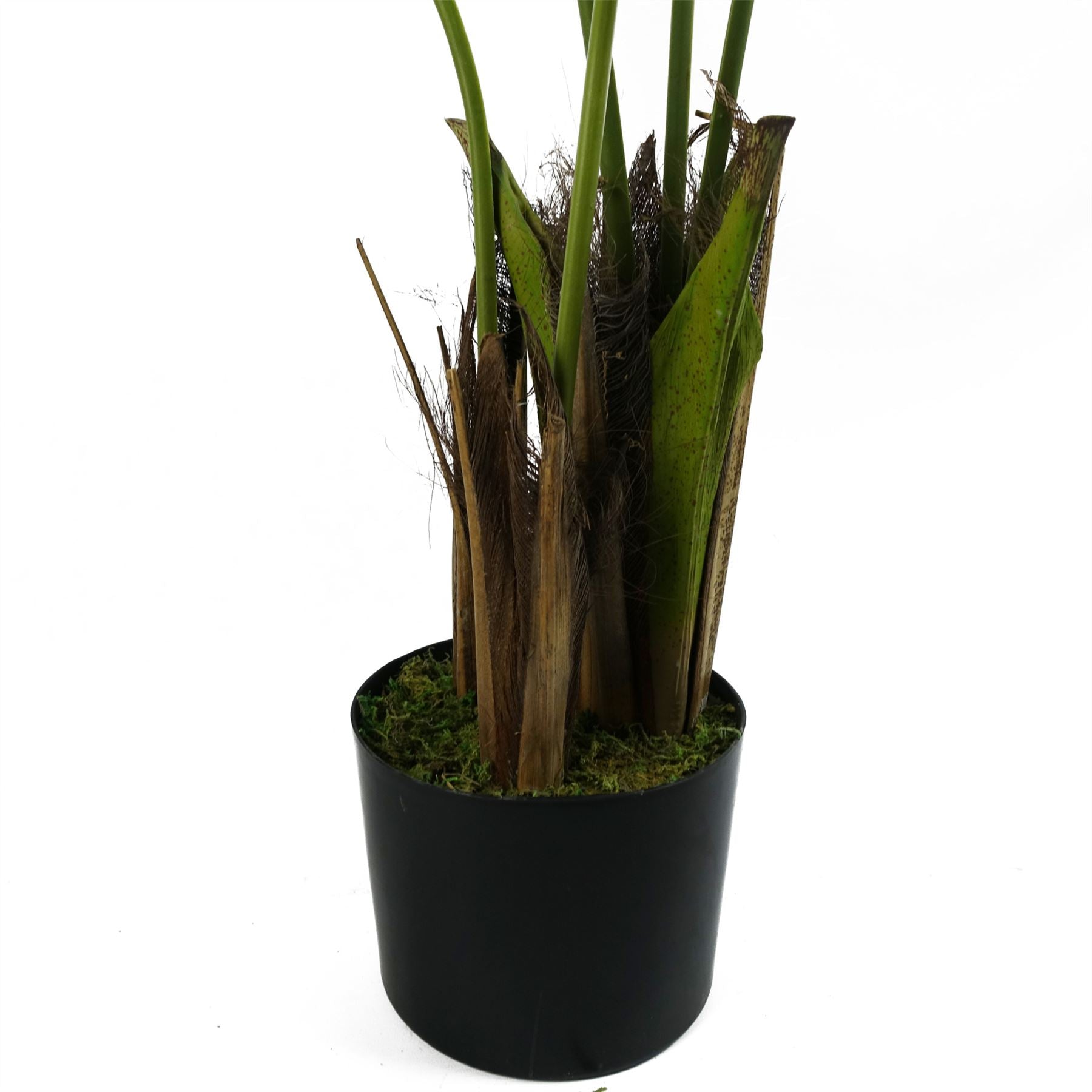 Kentia Palm Artificial Tree 120cm  - Realistic plant by Botanik