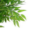 100cm Luxury Artificial Mini Ruscus Tree - Premium Range