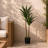 Yucca Tree UV Resistant Outdoor  120cm Botanik