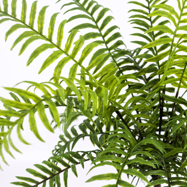 Artificial Fern Plant Realistic 50cm Artificial Boston Fronded Fern Plant Botanik