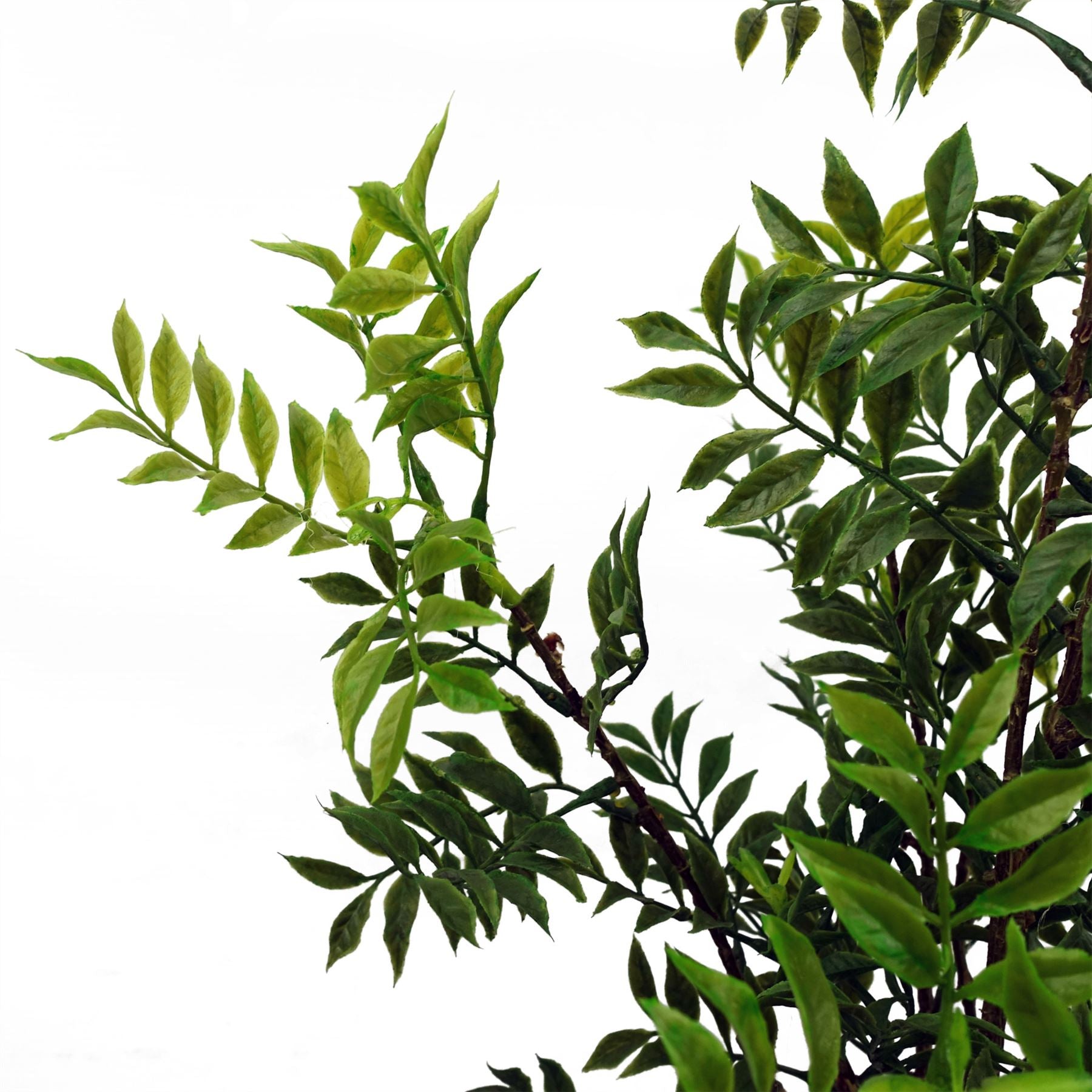 Leaf Design 60cm Artificial Nandina Bonsai Ficus Tree