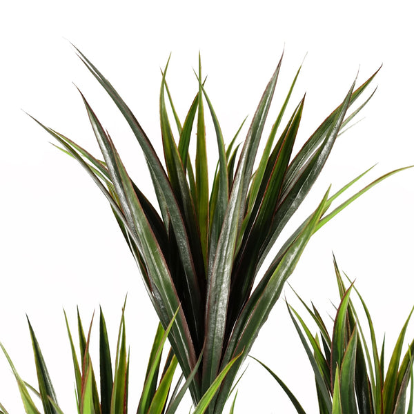 Artificial Tropical Yucca Tree with 179 Leaves UV PROTECTED OUTDOOR Botanik