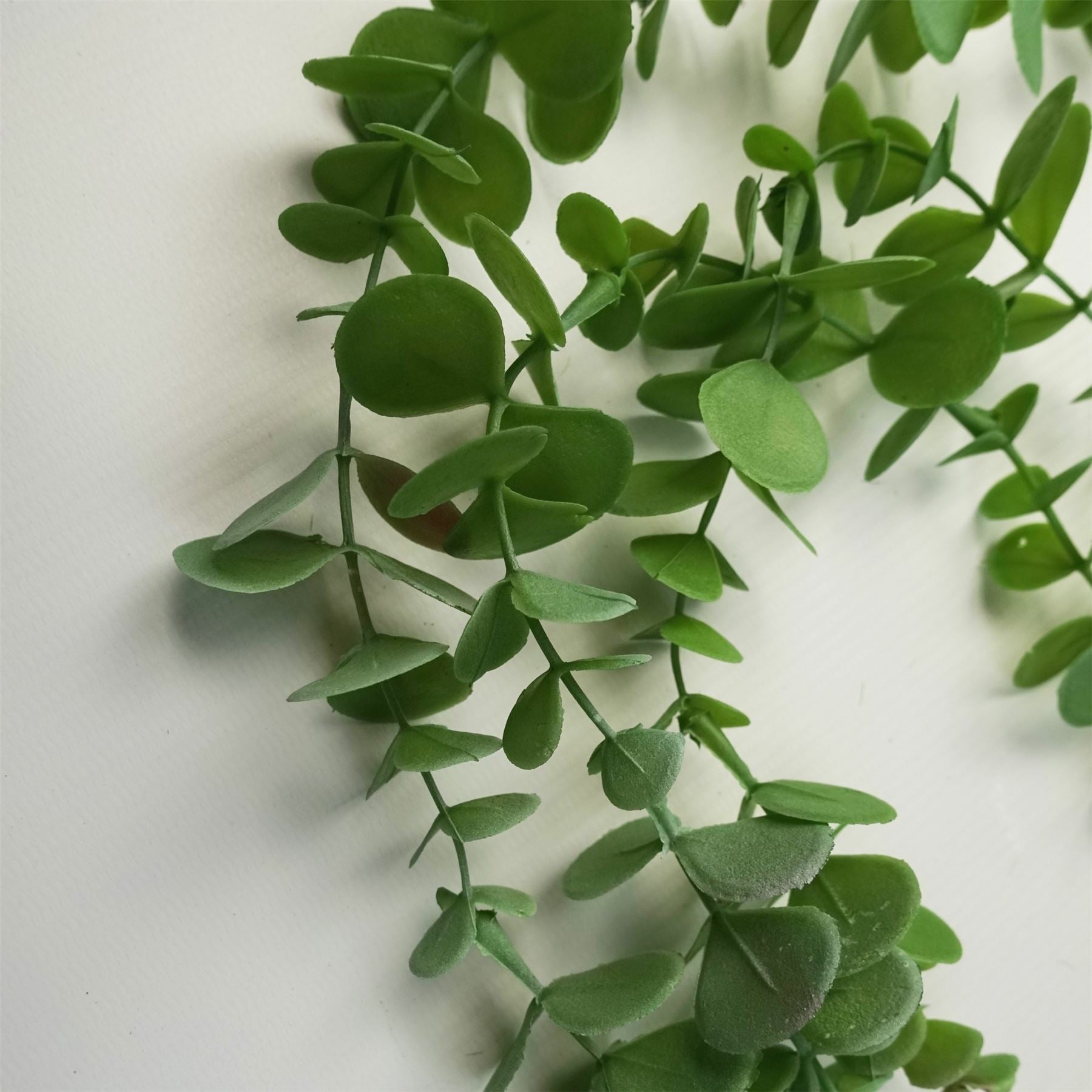 Artificial Hanging Trailing Plant Eucalyptus Plant Botanik