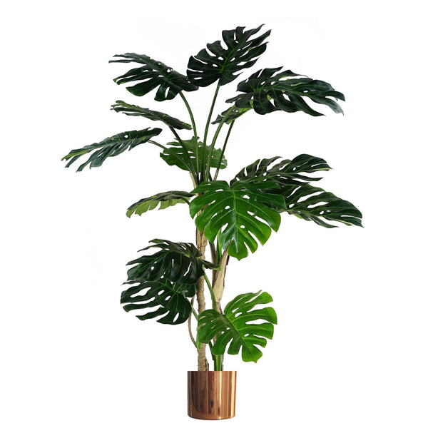150cm (5ft) Luxury Monstera Plant Black Pot Copper Metal Planter - Premium Quality