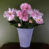 Pink Daisy Flowers Plant Flowering Plant Artificial Botanik