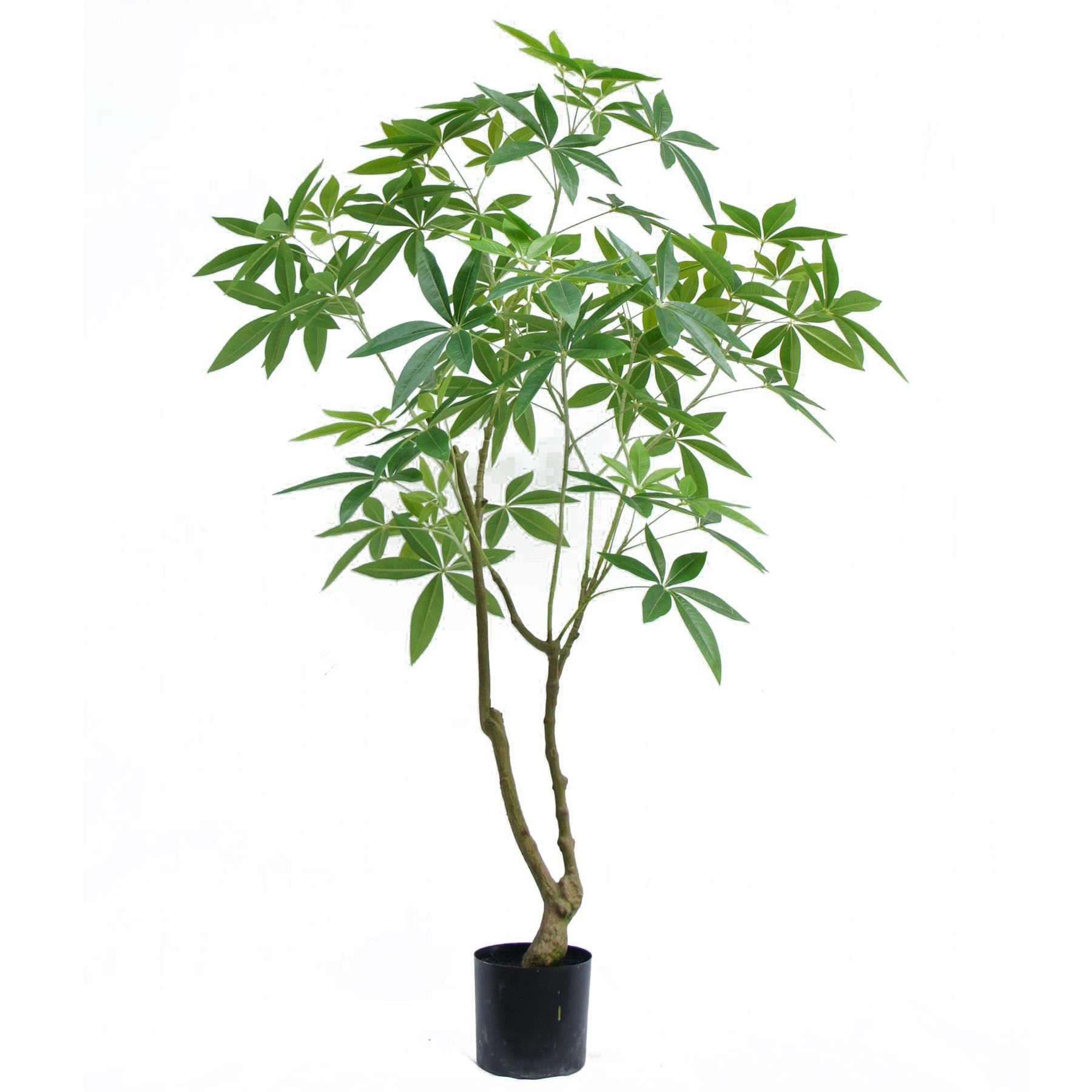 150cm Artificial Money Tree Pachira Realistic Faux Tree - Premium Quality