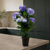 Artificial Hydrangea Flowering Plant Blue