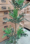 165cm Fire Retardant Nandina Tree with 4857 Leaves