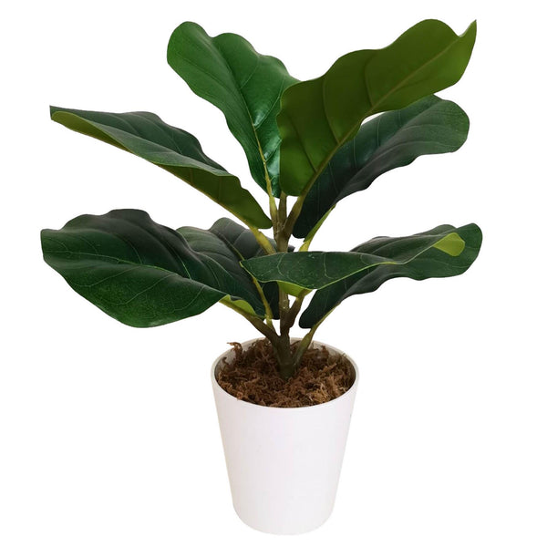 38cm Potted Artificial Fiddle Fig Plant