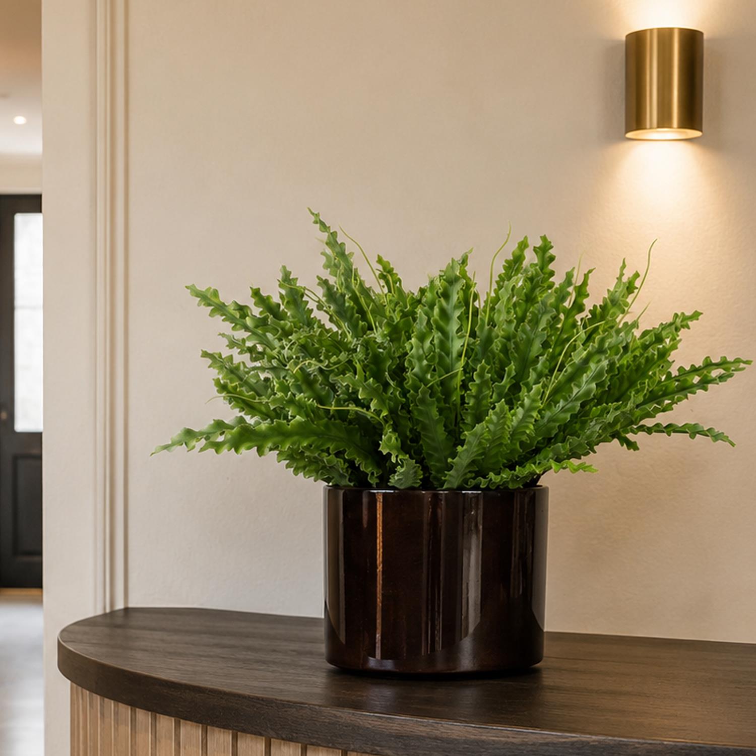 12 x 40cm Artificial Crocodile Fern Plant - Premium Quality