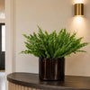 12 x 40cm Artificial Crocodile Fern Plant - Premium Quality
