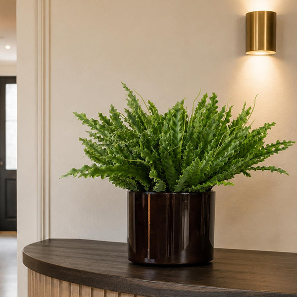 12 x 40cm Artificial Crocodile Fern Plant - Premium Quality