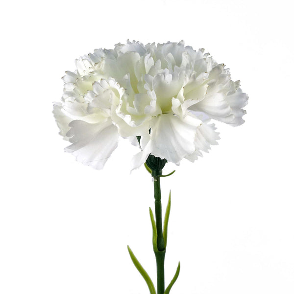 57cm Single White Carnation Artificial Flower