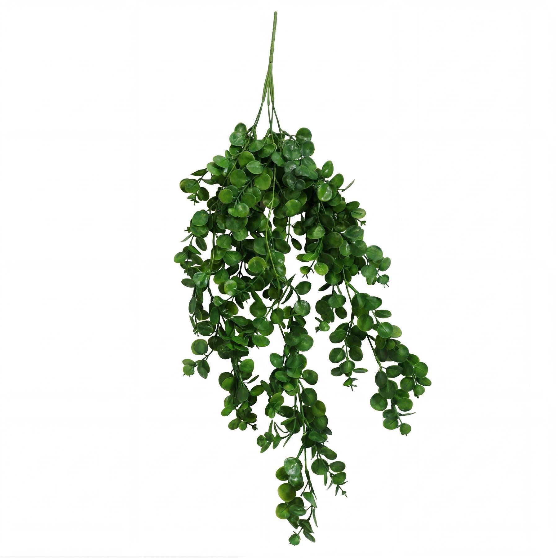 Pack of 6 x 75cm Artificial Trailing Round Botanik Hanging Foliage Plant - Deep Forest Green - Premium Quality