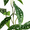 Pack of 6 x 80cm Artificial Begonia Maculata Polka Dot Foliage Stems