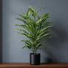 80cm Fire Retardant Aglaonema Bush with 72 Leaves - Premium Quality