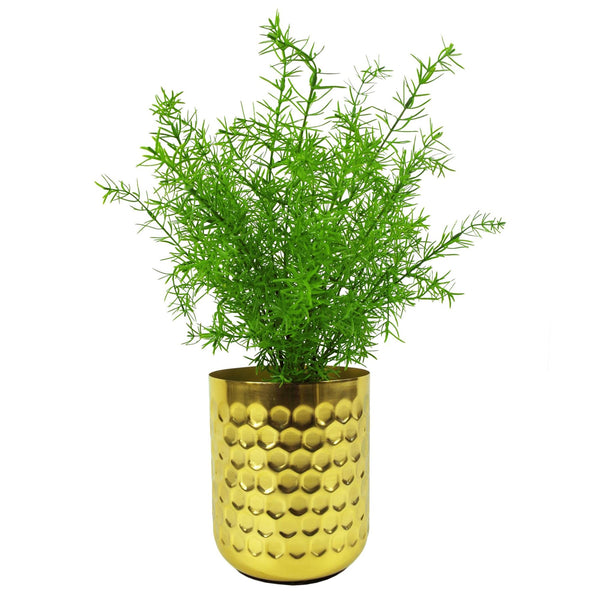 Artificial Fern Plant 45cm Artificial Asparagus Fern Plant Pack x 6