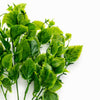 32cm Artificial Leafy Foliage Stem Plant – Faux Green Decorative Fillers