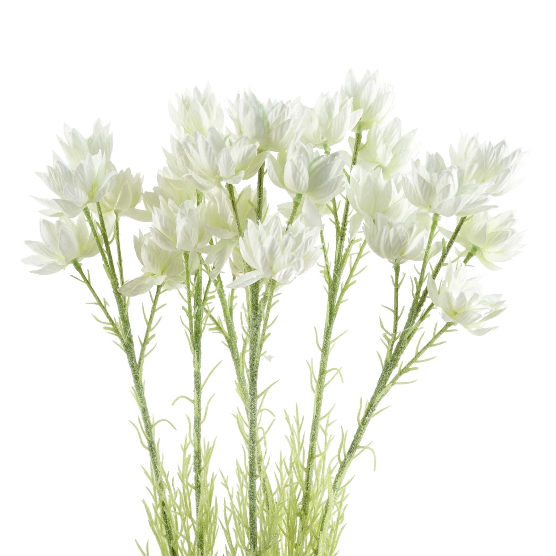 Pack of 6 x 60cm White Starflower Stem - 30 Flowers - Premium Quality