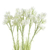 Pack of 6 x 60cm White Starflower Stem - 30 Flowers - Premium Quality