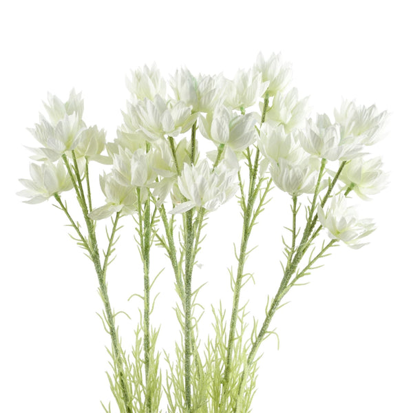 Pack of 6 x 60cm White Starflower Stem - 30 Flowers - Premium Quality