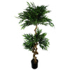 Japanese ARTIFICIAL TREE XL Fruticosa Ficus Tree Plastic Pot 160cm