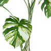 120cm Variegated Monstera Realistic Artificial Tree