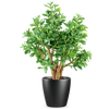70cm Artificial Deluxe Jade Plant