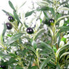 Artificial Olive Tree Plant Premium 125cm Luxury Olive Plants