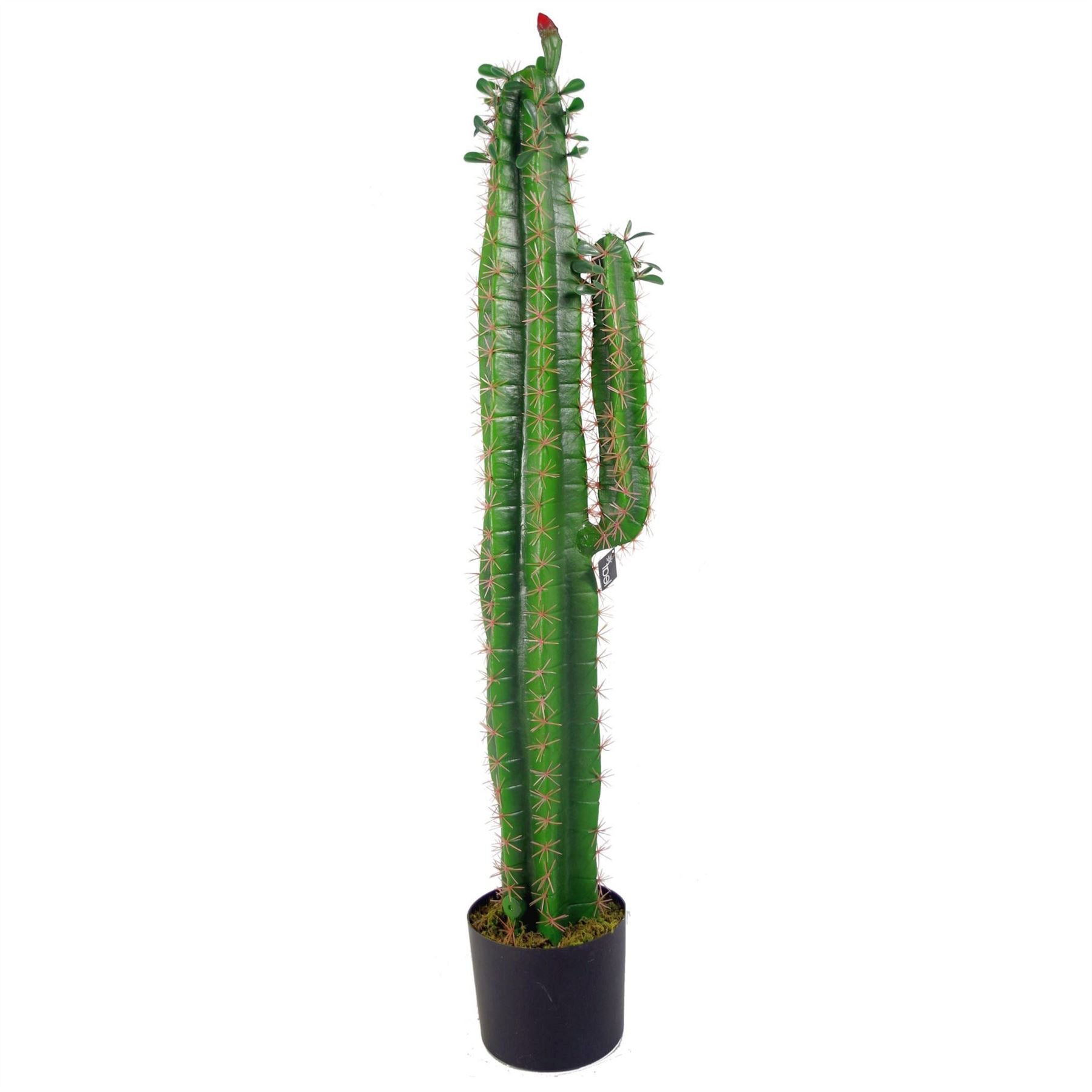 Artificial Cacti Cactus Plant 110cm Plants Plants