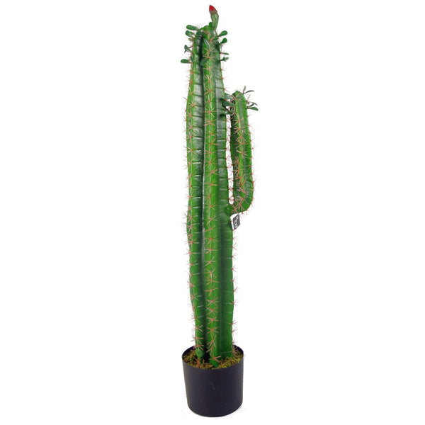Artificial Cacti Cactus Plant 110cm Plants Plants