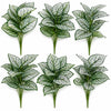 Pack of 6 x 60cm Artificial Caladium Style Stem Plant Variegated Green White Faux Foliage Arrangement