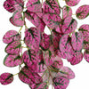 60cm Artificial Pink Polka Dot Plant Hanging Bush