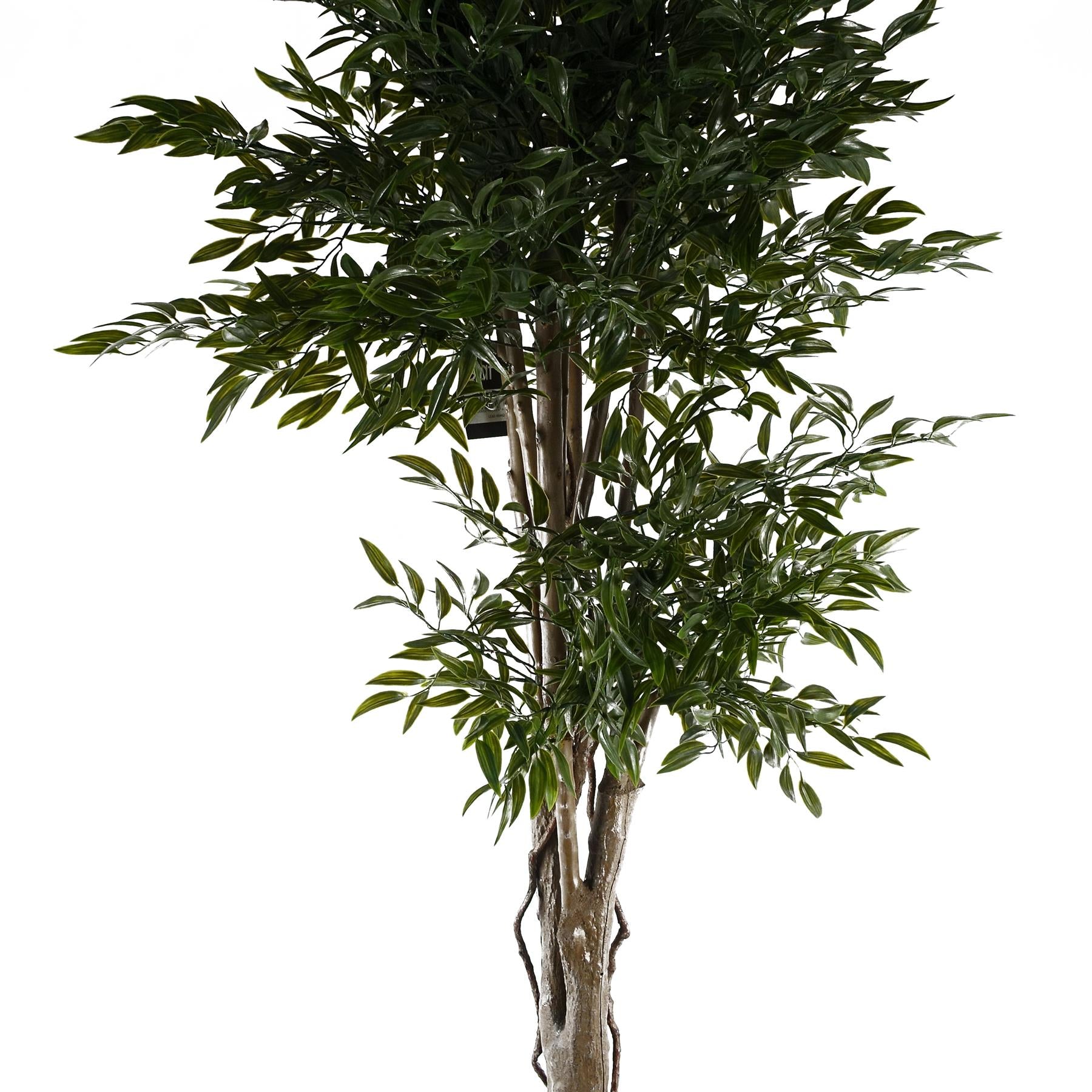 UV Resistant Ruscus Tree- 2716 leaves