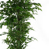 180cm Artificial Ficus Tree Green Realistic - Premium Quality